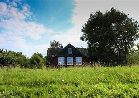 Landhaus Am Deich Dornum Esterno foto